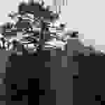 an14