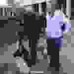 an14