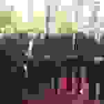 an2