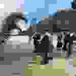 an2
