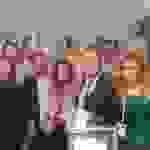 an2