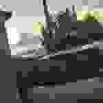 an3