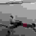 an3