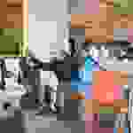 an3