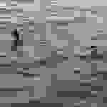 an5