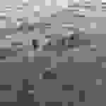 an6