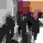 an7