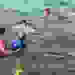 an7