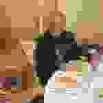 an8