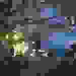 an8