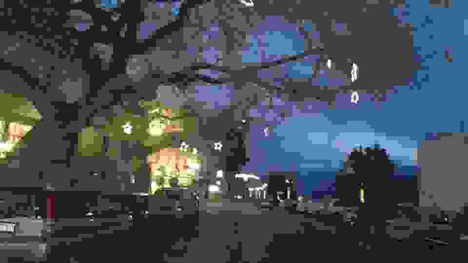 an8