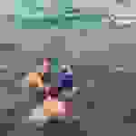 an8