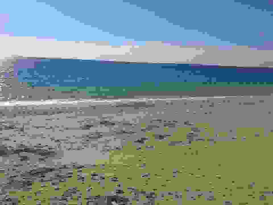 AN1