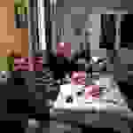 AN1