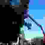 AN1