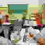 AN1