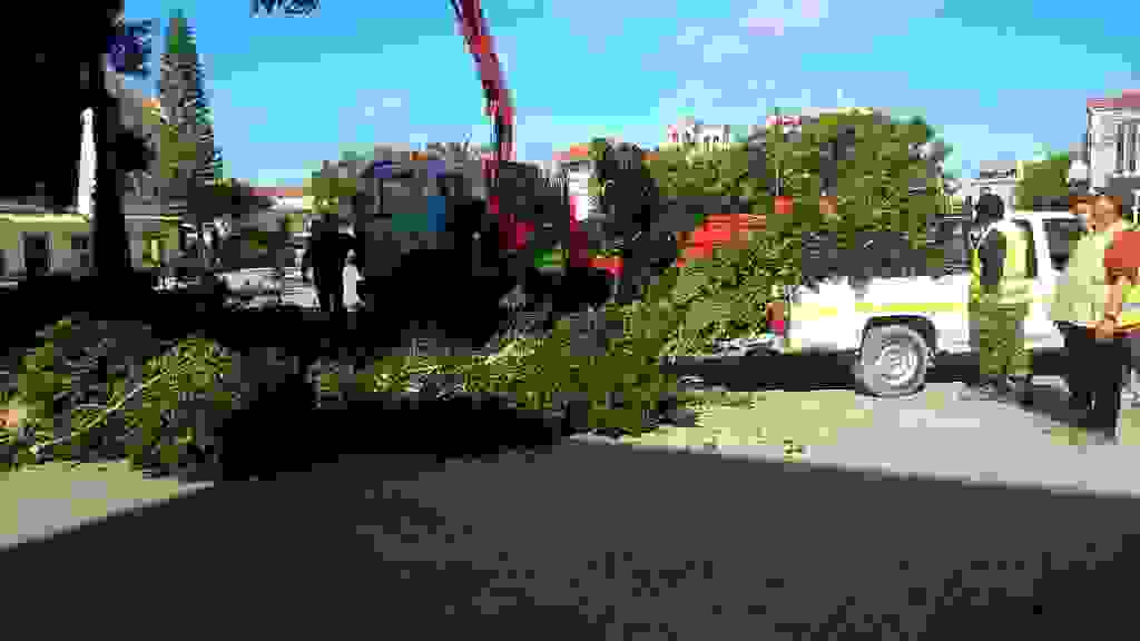an