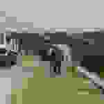 an