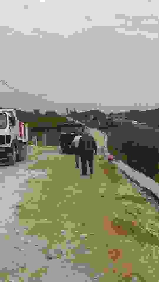 an