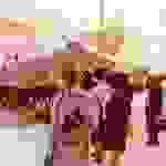 an