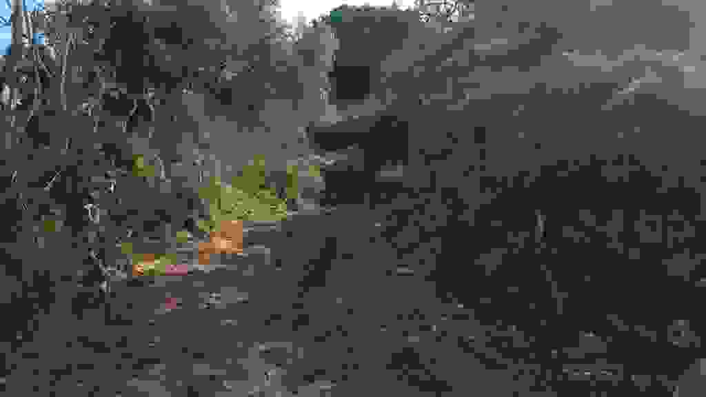 an