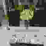 an