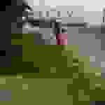 an