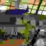 an