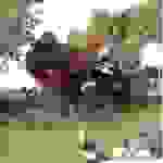 an1
