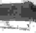 an1