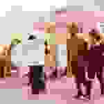 an1