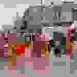 an10