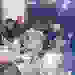 an11