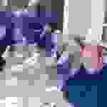 an12