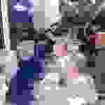 an16