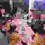 an17