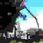 an2