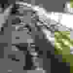 an2