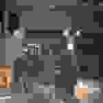 an3