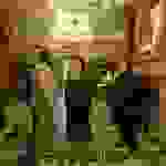 an3