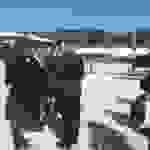 an3