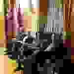 an3
