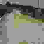 an5