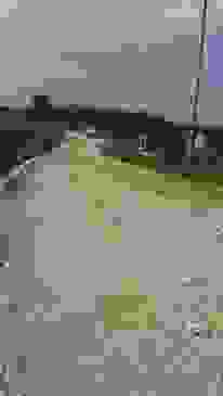 an5