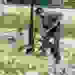 an5