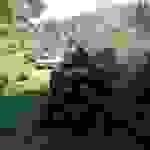 an6
