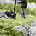 an6