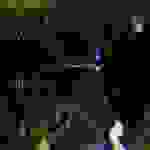 an7