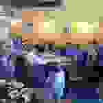 an7