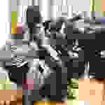 an7